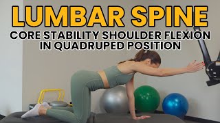 Lumbar Spine  Core Stability Shoulder Flexion in Quadruped Position [upl. by Nivonod783]