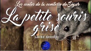 La petite souris grise  Conte audio complet  Comtesse de Ségur Livre Audio [upl. by Albrecht]