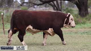 Lot 42 JDOT099 Merawah 2024 [upl. by Aztin]