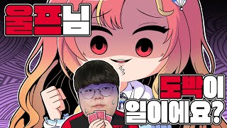 농사왕 울프 알바하다 셜커들고 도박하러 튀어 논란 [upl. by Dougy]