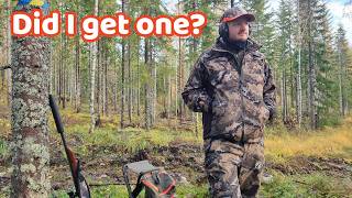 About the Swedish moose hunt [upl. by Ymmij]