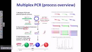 Multiplex PCR [upl. by Aneloaup]