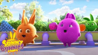 SUNNY BUNNIES  FAVOURITE FRUIT  SEASON 7 COMPILATION  Cartoons for Kids [upl. by Notslar]