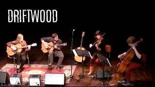 Driftwood with strings  CD release  Karlijn Langendijk amp Tim Urbanus [upl. by Kellby821]