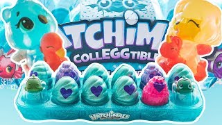 Color Changing Hatchimals Hatchimals Colleggtibles Mermal Magic Series 5 Egg Carton Limited Edition [upl. by Oslec]