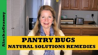 Pantry Bugs How To Get Rid Of Pantry Bugs Natural Solutions Keep Weevils Out Of Food [upl. by Peisch190]