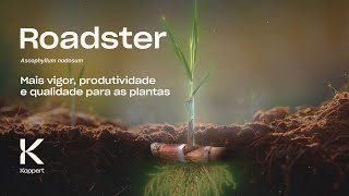 Roadster Ascophyllum nodosum Mais vigor produtividade e qualidade para as plantas [upl. by Ethelstan]