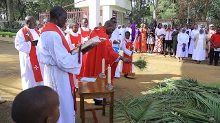 NYIMBO TAMU ZA SIKU YA MATAWI \\ PALM SUNDAY SONGS [upl. by Cleaves826]