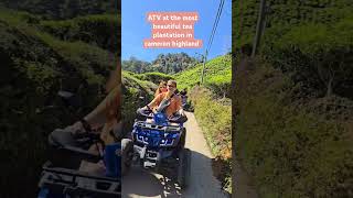 ATV RIDES IN CAMERON VALLEY TEA CAMERON HIGHLAND MALAYSIA [upl. by Nihhi]