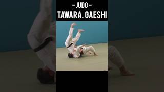 Martial Arts technique  Judo  Tawara Gaeshi technique martialart judo [upl. by Aztiley746]