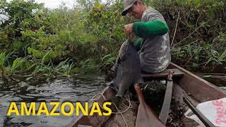 Pesca ribeirinha de espinhel no Amazonas [upl. by Thorman938]