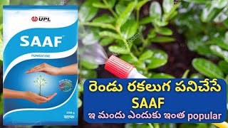 Saaf fungicide గురించి పుర్తి వివరలు  Saaf dose price Carbendazim  mancozeb [upl. by Tiny]