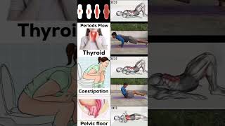 PelvicThyroidPeriodsConstipation Exercise shorts [upl. by Hege423]