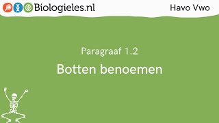 Havo Vwo 1  Stevigheid en beweging  2 Botten benoemen  Biologielesnl [upl. by Stranger]