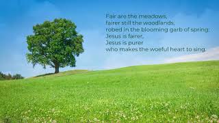 Fairest Lord Jesus with lyrics Sung by Steve Green [upl. by Voltmer707]