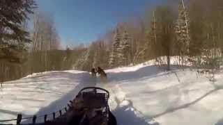 Kanatha Aki Traîneau à chiens Dogsled Mont Tremblant Laurentides Quebec [upl. by Itoc]