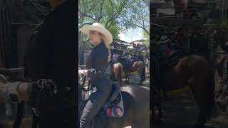 The Most Beautiful Women Riding in Neiva shortstourism horsescabalgata tour horseriding 4k [upl. by Etteragram]