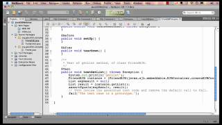 GlassFish Tutorial [upl. by Roselane]