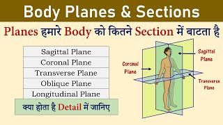 Body Planes and Sections  Sagittal Coronal Transverse Plane  Anatomical Planes [upl. by Enomal]