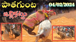 Pathagunta Jallikattu 🐂  పాత గుంట జల్లికట్టు 2024  Traditional Chittoor Jallikattu 🤯 Kunchulu [upl. by Enitsirt636]