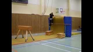 Parkour im Sportunterricht [upl. by Ennahtur]