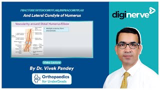 Fracture Intercondylar Supracondylar and Lateral Condyle of Humerus  Dr Vivek Pandey [upl. by Haughay691]