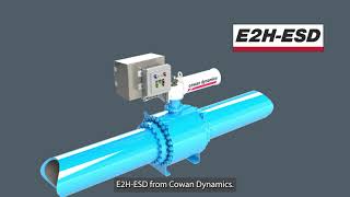 How do Electrohydraulic Actuators Work with ESD Emergency Shutdown Valves [upl. by Ignacia96]