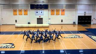 Hofstra University Dance Team Family amp Friends Hip Hop 2013 [upl. by Acirrej]