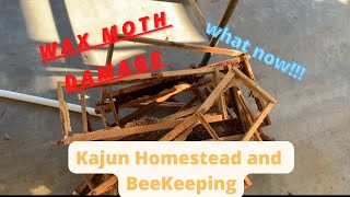 Wax moth damaged frames rewaxing and ready for bee hives [upl. by Towbin675]