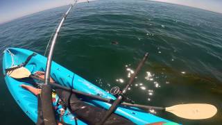 Kayak fishing Goleta California [upl. by Waynant678]