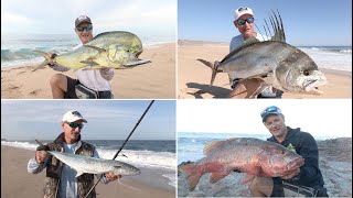 Cabos Surf Fishing Seasons [upl. by Aniv]