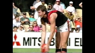 Essendon Highlights  Rd 4 1993 v Sydney [upl. by Buchanan]