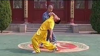 Shaolin kung fu combat 32 catches qin na [upl. by Aileahcim9]