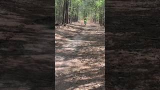 KX112 Top Speed Through Trails kawasaki 2stroke dirtbike loud kx112 trails [upl. by Namwob]