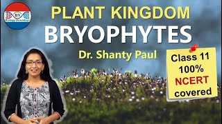 Bryophytes Plant kingdom [upl. by Bergmann]