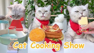 Cat Cooking Food 5 Easy And Tasty Food Recipes  Cut Cat TikToks  Cooking With Cat ChangAn [upl. by Poole]