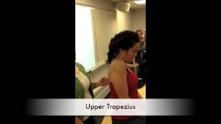 Manual Muscle Test for Upper Trapezius [upl. by Idoc]