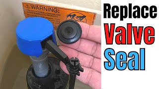 Fix it Yourself Replace the Fluidmaster 400 Valve Seal for Beginners  Basic Life Skills [upl. by Patman780]