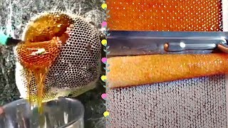 MOST AMAZING HONEYCOMB UNCAPPINGOddly Satisfying ASMR [upl. by Kired]