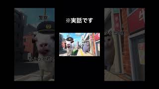 200万回再生された医大生の猫ミーム shorts 猫ミーム 医大生 [upl. by Oiratnom]