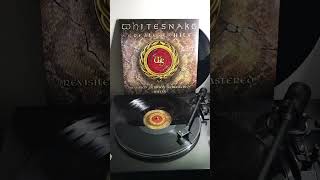 Whitesnake  Is This Love 1987 2022 Remix [upl. by Iroak]