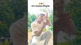 वाडीवरची शाळा ❤️ vadivarchi story 🤣 indurikar maharaj kirtan 🔥 vadivarchistory marathi shorts [upl. by Nnahs]