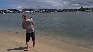 Fisherman Hooks MASSIVE Fish Under Batemans Bay Bridge [upl. by Auqcinahs]