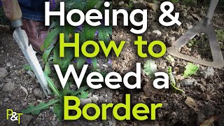 How to Weed a Border Hoeing and Hand Weeding  Pots amp Trowels [upl. by Brost]