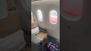 Kenya Airways Business Class Long Haul Flight Honest Review [upl. by Toddie296]