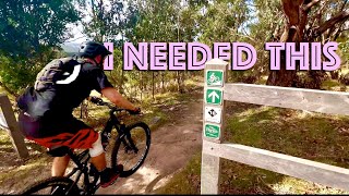 Moving SUCKS Mountain biking does NOT [upl. by Adnaerb874]