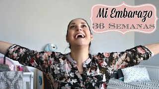 36 SEMANAS DE EMBARAZO  Meta final Sintomas de Parto Ultimos Detalles  36 Week Bumpdate [upl. by Dix172]