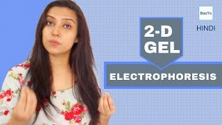 Two Dimensional 2D GEL Electrophoresis  Principle  Hindi [upl. by Menendez339]