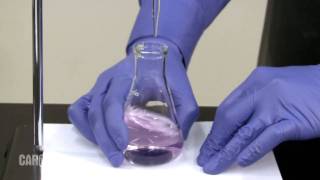 Setting up and Performing a Titration [upl. by Rona]