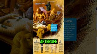 How did the Egyptians prepare the bodies for eternity🤯history historyfacts shorts facts [upl. by Yssenhguahs482]